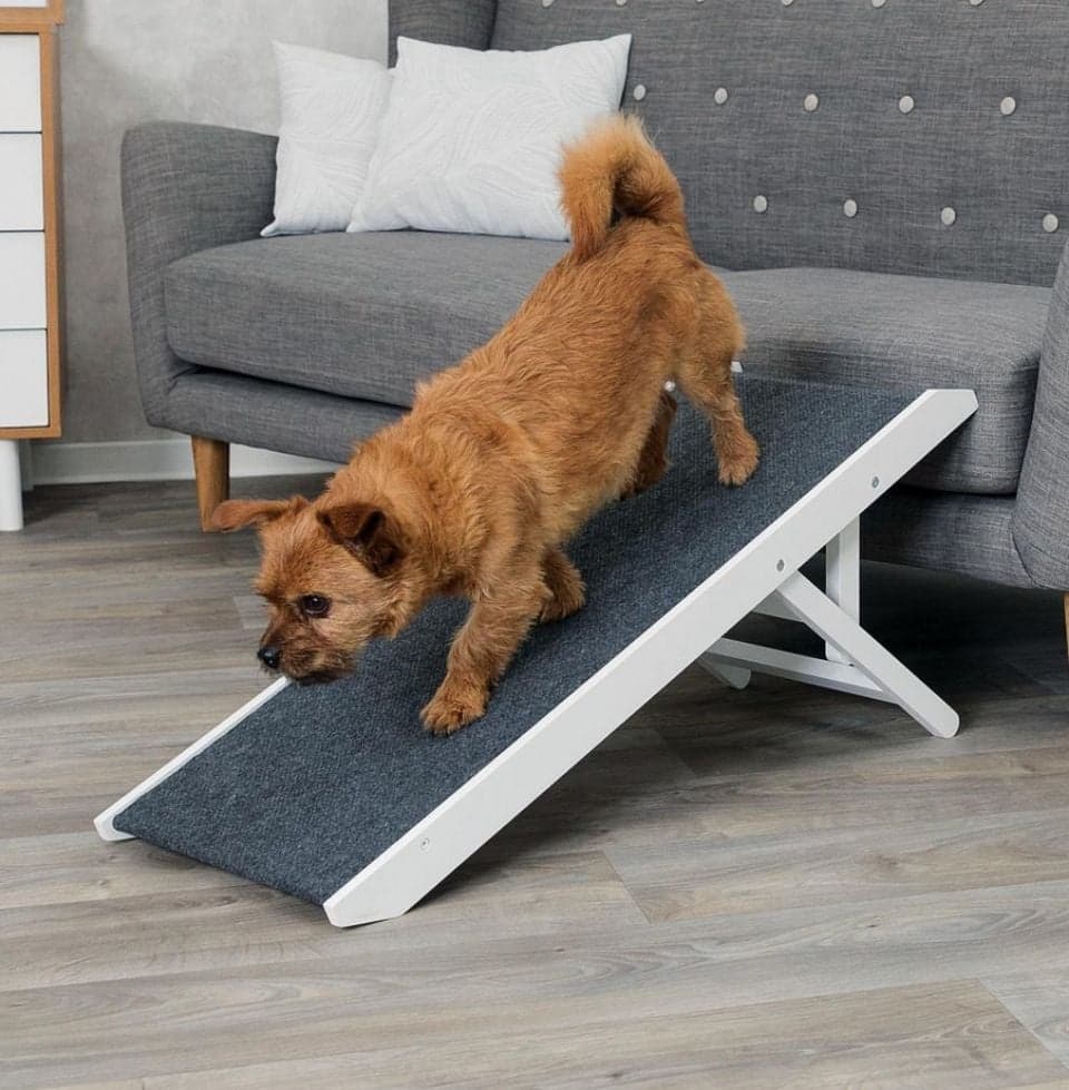 TRIXIE Rampa pentru caini, cu inaltime reglabila 36 × 90 cm