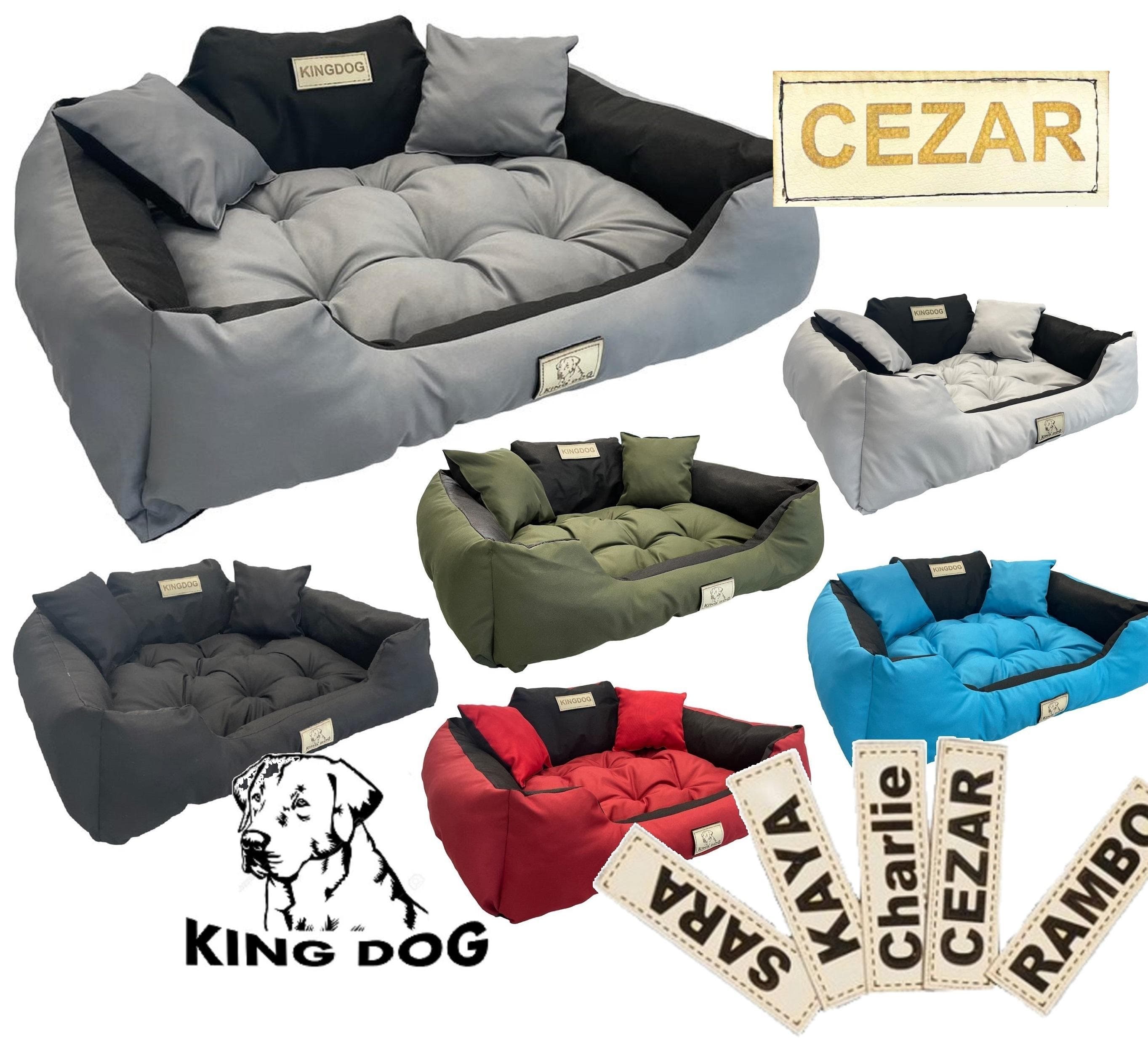 Pat pentru câini KINGDOG cu DOG'S NAME rezistent la apă, SML XL XXL 3XL mingea albastru culoare