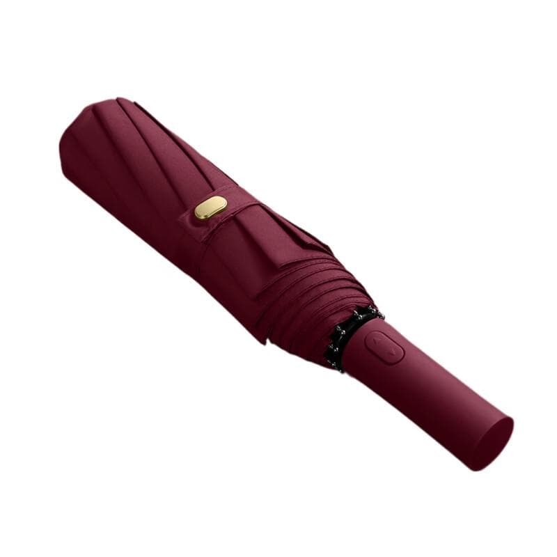 Tri-polar Automatic 10-Rib Double-Layer Folding Umbrella