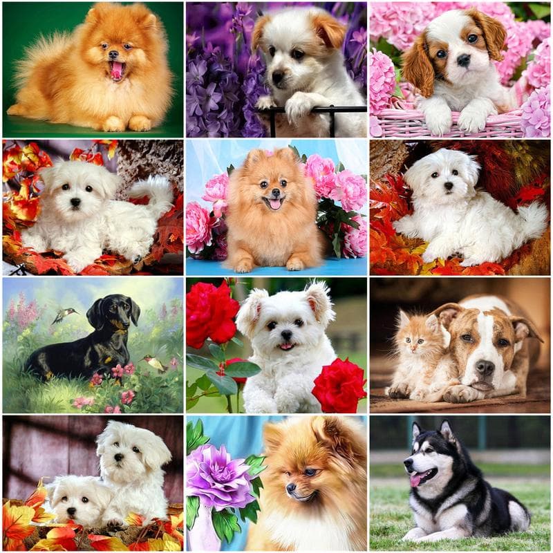 Kit de pictură cu diamant 5D Diy Câine Animal Set de broderie cu punct de cruce complet Mozaic cu strass Imagine de decorare a casei