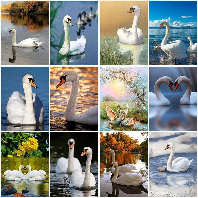 Pictură cu diamant DIY 5D, complet rotund, lebădă, broderie cu diamante, mozaic, vânzare, imagini cu animale, cu strasuri, artă, kit pentru punct