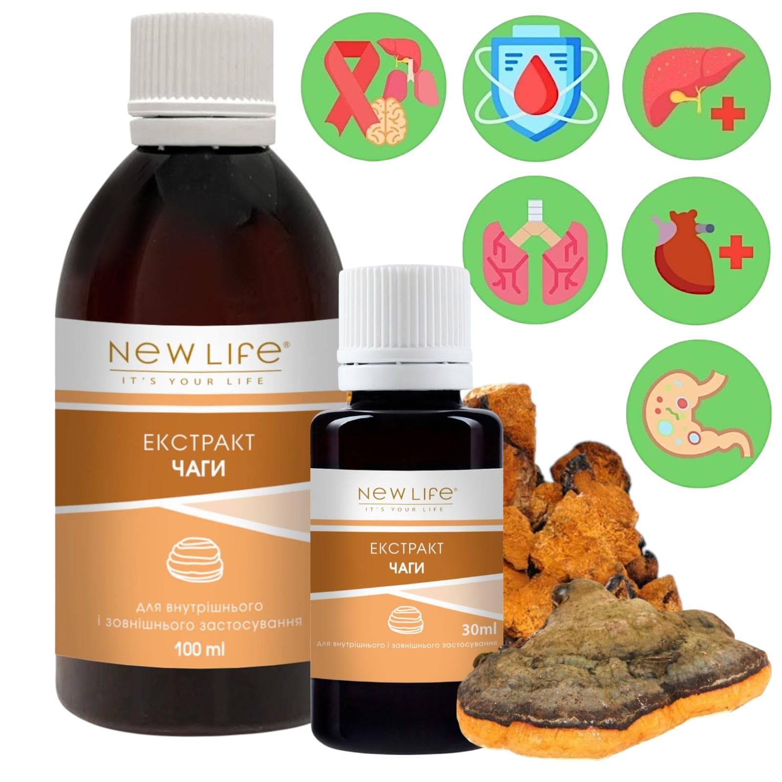 Extract de ciuperci Chaga Tinctură Supliment lichid pe bază de plante Dietary New Life