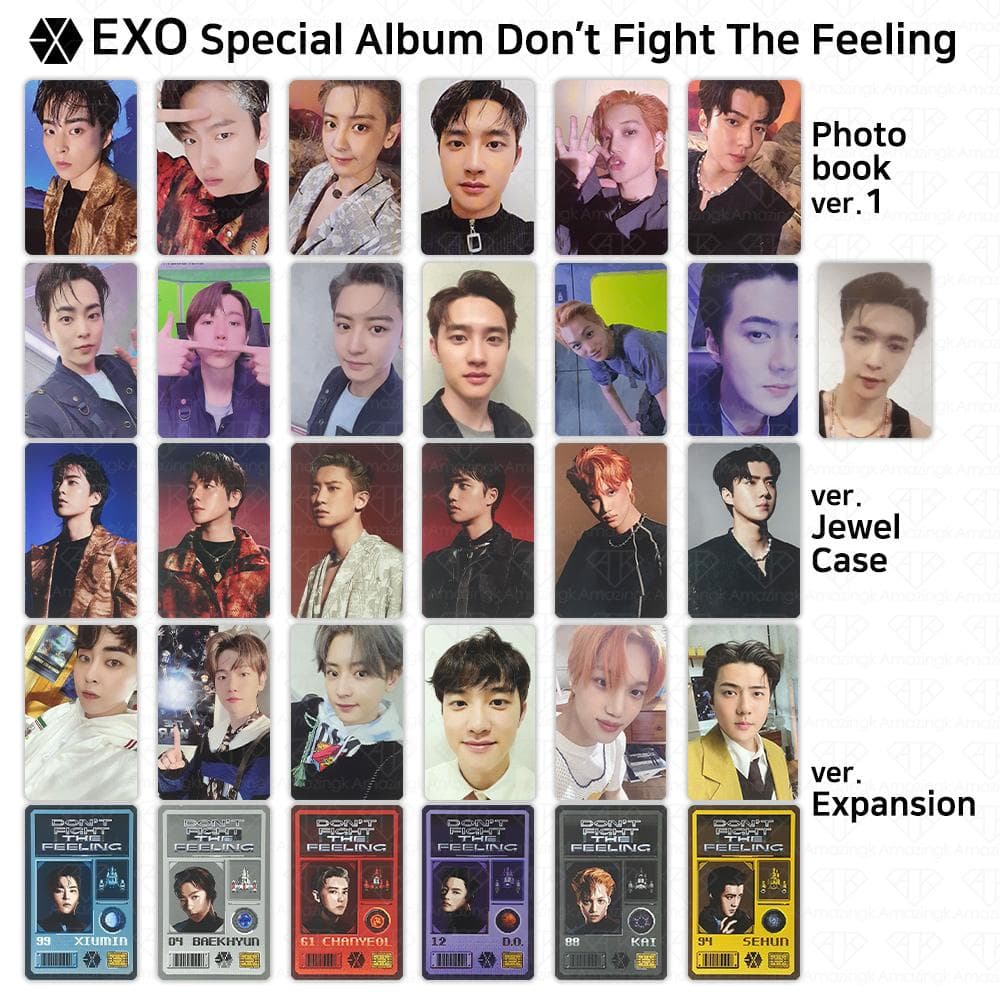 Album special EXO Don't Fight the Feeling Cartea foto oficială Baekhyun Kai