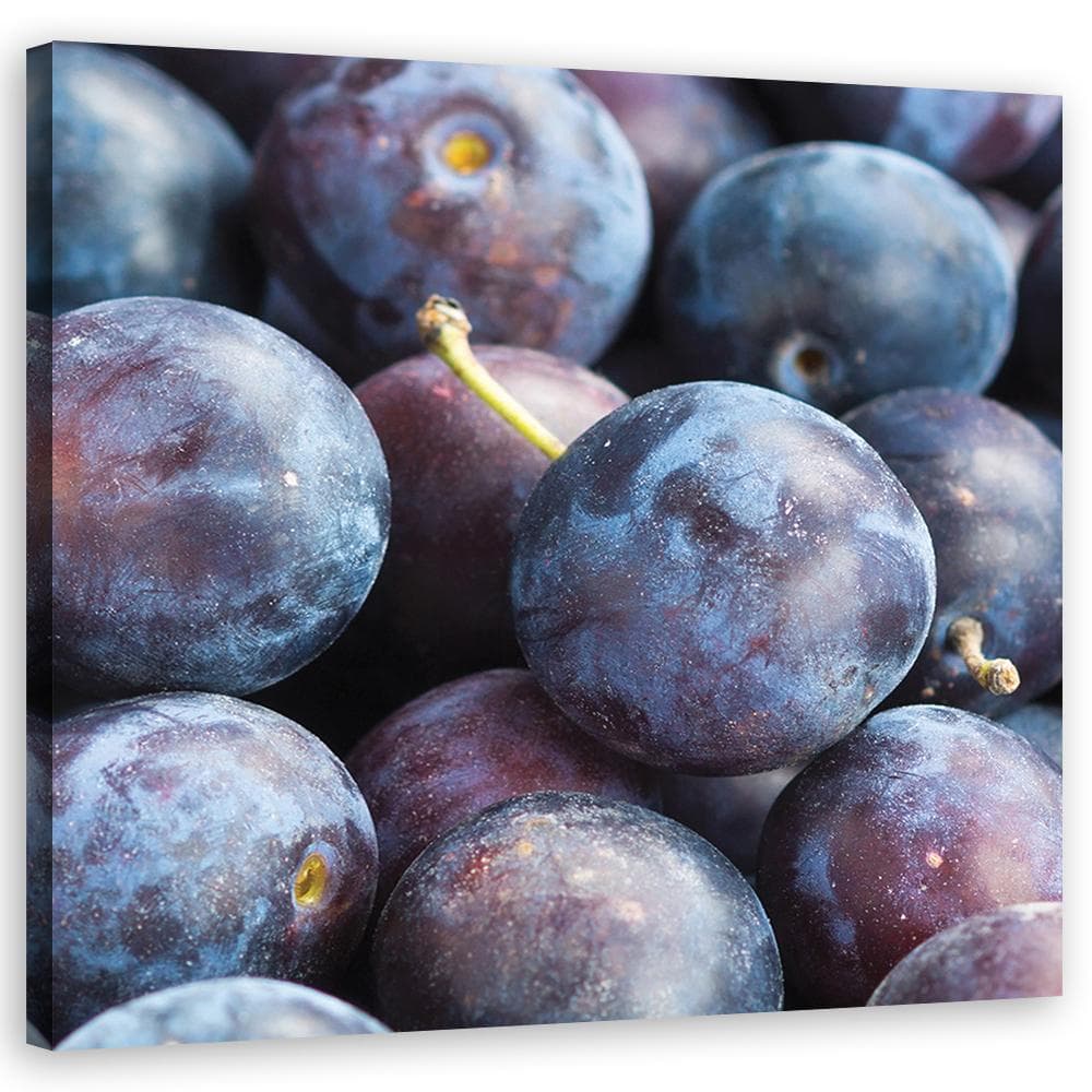 Imprimare pe pânză Plum macro violet