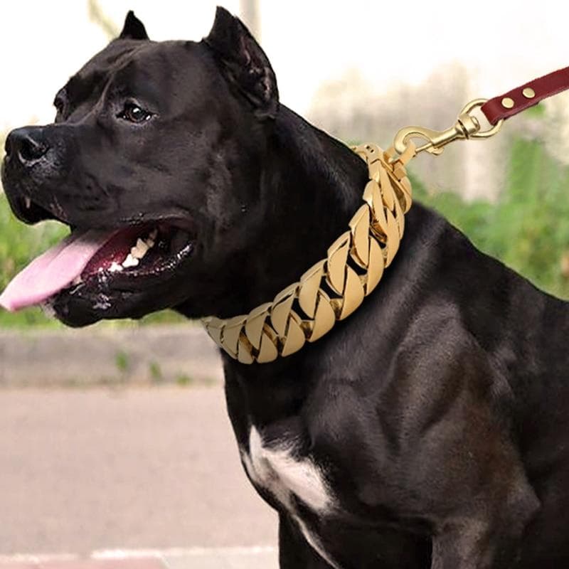 Zgardă puternică din metal pentru câini, din oțel inoxidabil, pentru antrenament pentru animale de companie, pentru câini mari, pitbull, buldog,