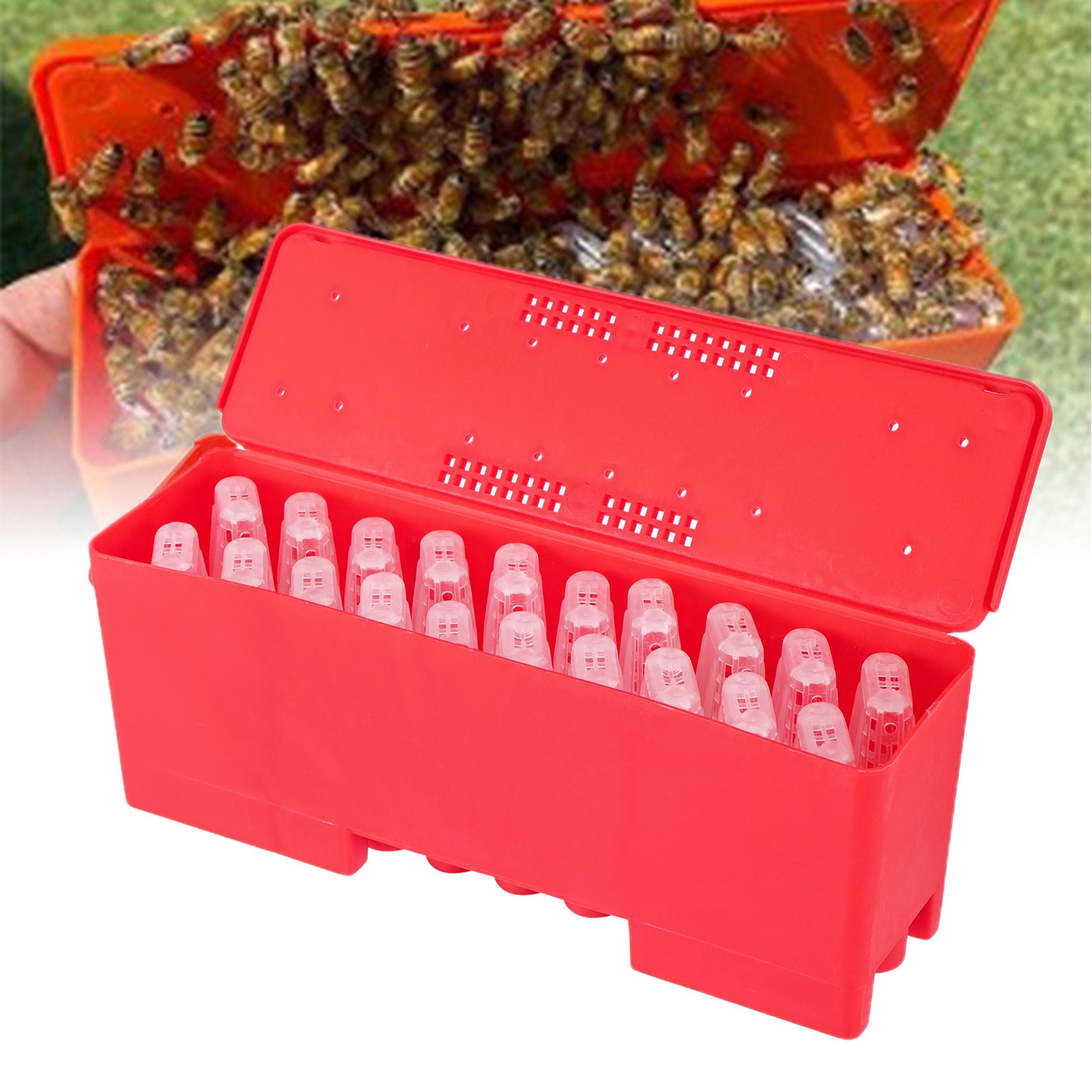 Cutie de transport apicol Stil nou Cutie pentru albine Plastic roșu transparent Cutie pentru regină Creșterea reginei Prizonier Cutie pentru rege