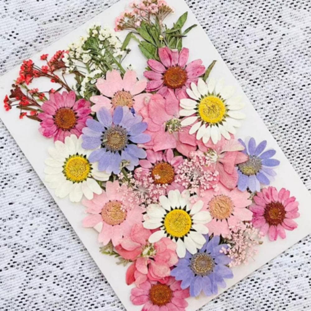 Flori Presate Reale Flori Presate Uscate Frunze Uscate Vrac Kit Ierburi Naturale pentru Scrapbooking DIY Meșteșuguri de Artă Matrițe Bijuterii