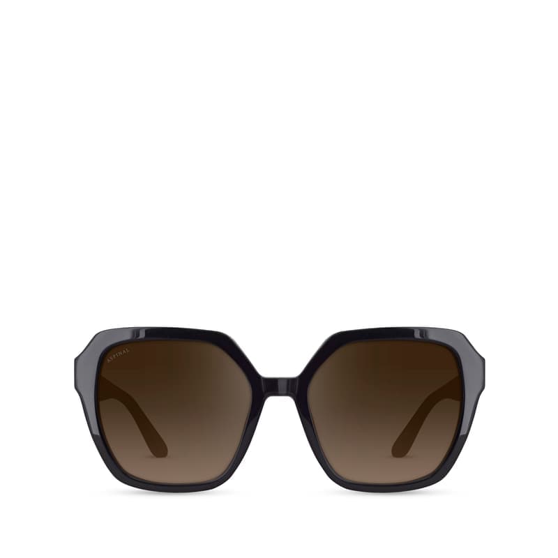 Aspinal of London Hudson Women's Sunglasses in Black Acetate