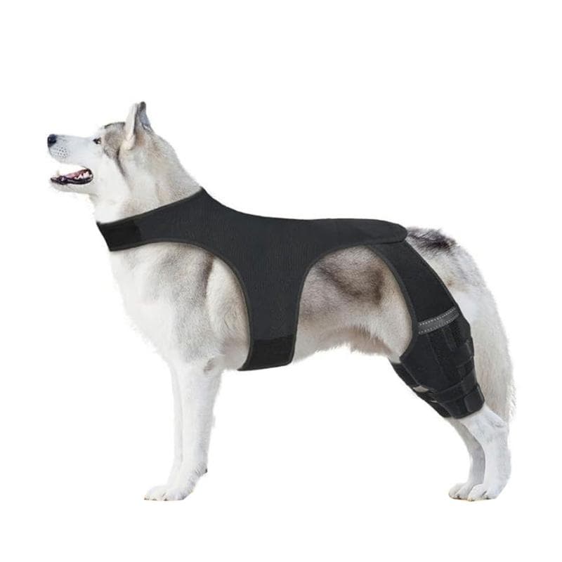 Bandaj Elastic pentru Picior de Câine, Manșon Eficient de Protecție Articulară pentru Câini Vârstnici sau Răniți, Suportiv pentru Piciorul
