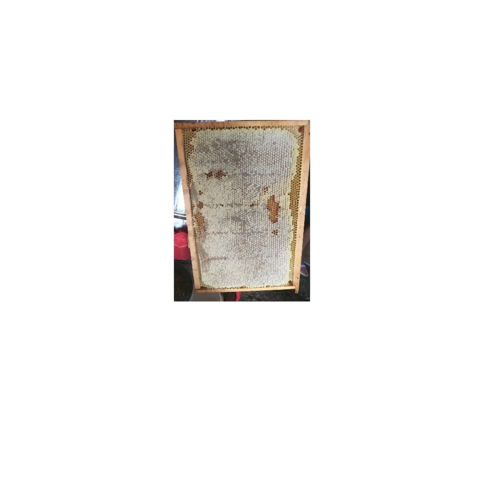 Pachet : 1 Borcan faguri in miere salcam, 750 grame + 1 Borcan faguri miere tei, 750 grame, Miere 100 % naturala